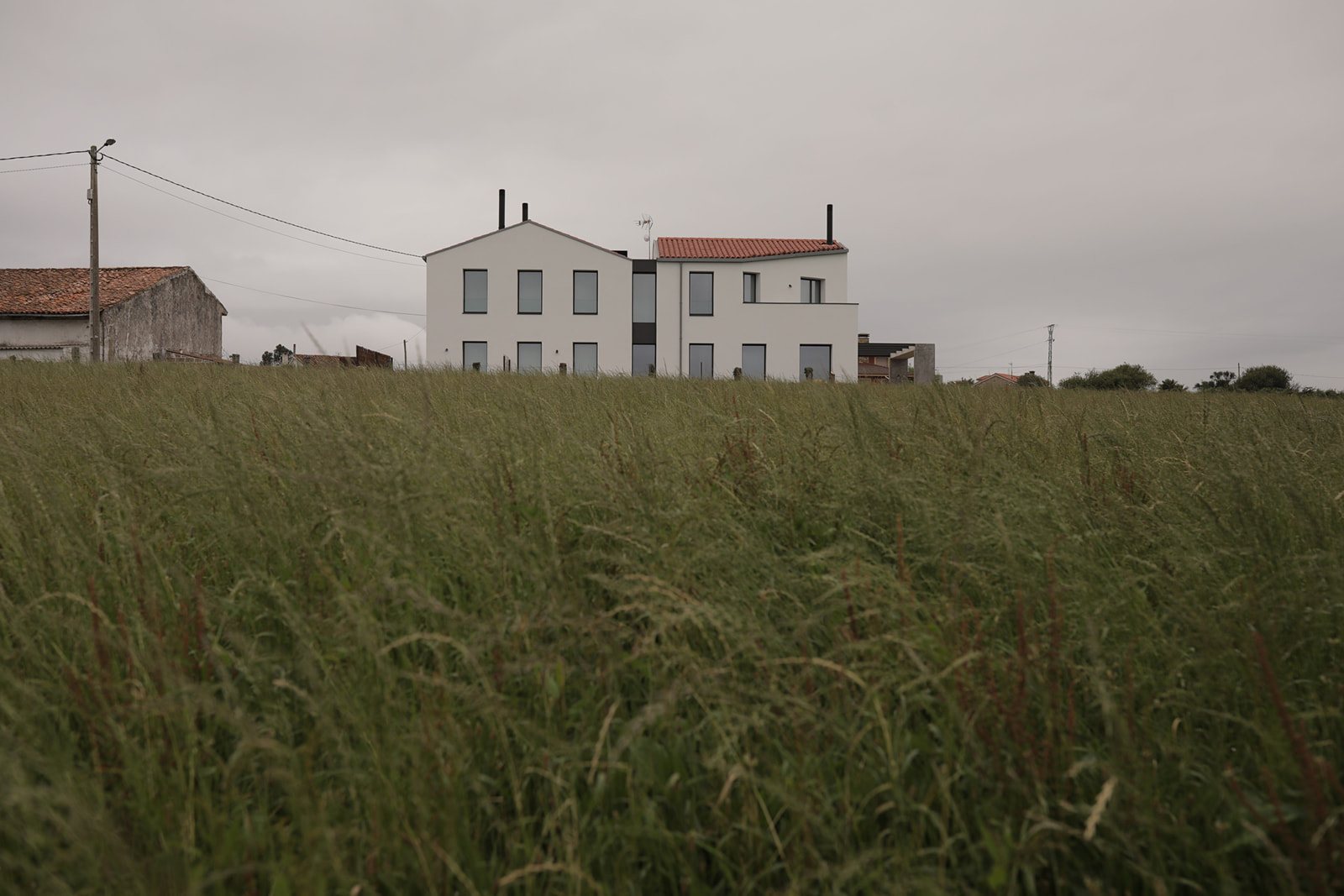 The Unkempt House